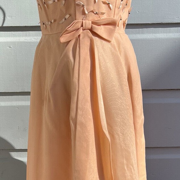 Vintage 60s Frothy Peaches & Cream Organdy Gown - Picture 6 of 8